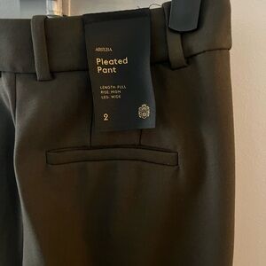 Aritzia Pleated Pants in Deep Green